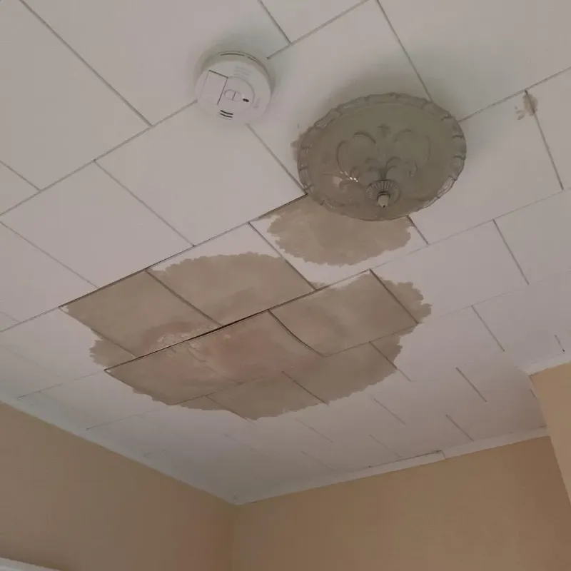 Ceiling Water Damage Repair in East Moriches, NY